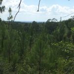 Recreational property for sale in Sabine Parish