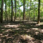 Catahoula Parish Residential land for sale