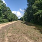 Development land for sale in Catahoula Parish