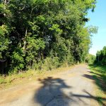Catahoula Parish Agricultural property for sale