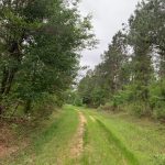 Timberland property for sale in Webster Parish