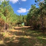 Hunting property for sale in Webster Parish