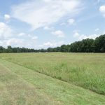 Natchitoches Parish Agricultural property for sale