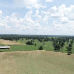 Hunting land for sale in Natchitoches Parish