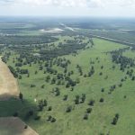 Natchitoches Parish Pasture land for sale