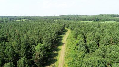 Caddo Parish Hunting property for sale