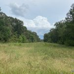 Hunting land for sale in Bossier Parish