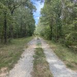 Bossier Parish Timberland property for sale