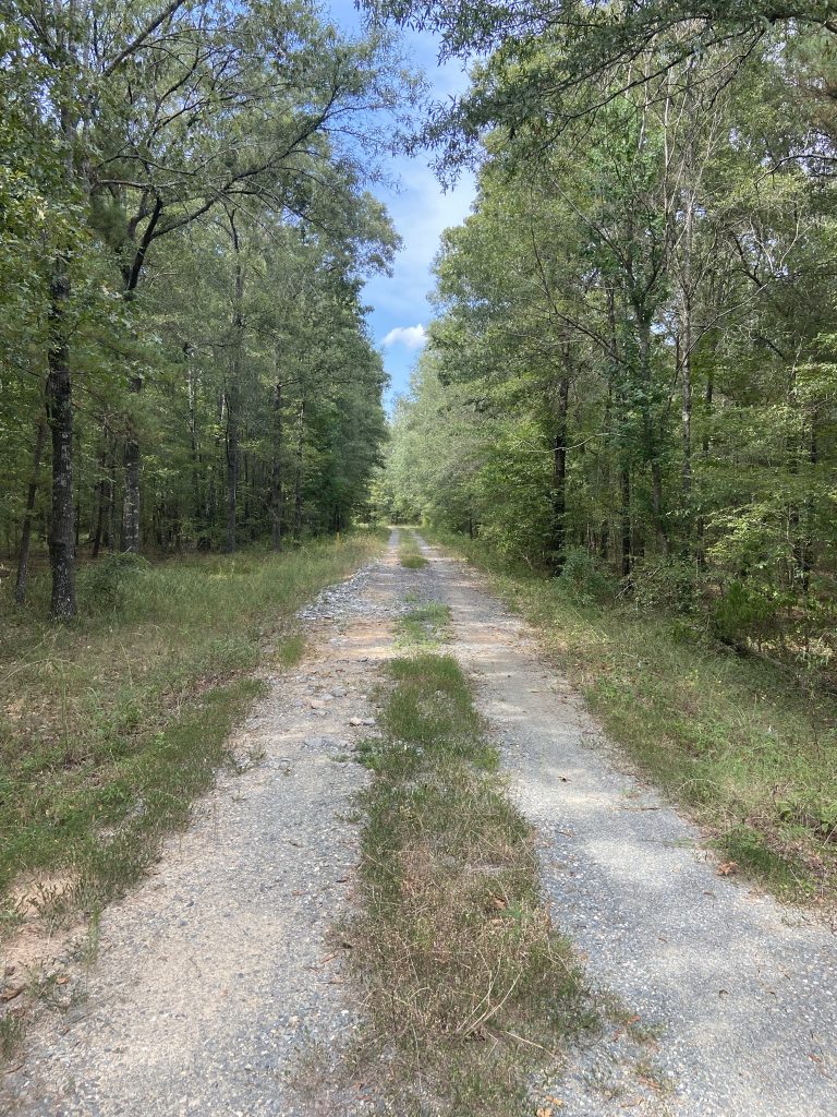 Bossier Parish Timberland property for sale
