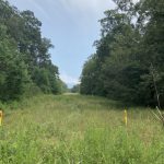 Bossier Parish Hunting land for sale