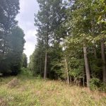 Hunting property for sale in Bienville Parish