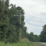 Timberland property for sale in Bienville Parish