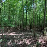 Jackson Parish Recreational land for sale