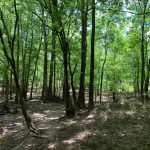 Recreational property for sale in Jackson Parish
