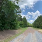Jackson Parish Recreational land for sale