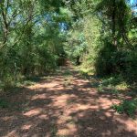 Investment land for sale in Lincoln Parish