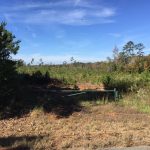 Bienville Parish Recreational property for sale