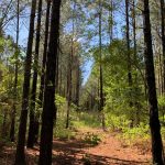 Recreational property for sale in Union Parish