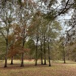 Ranchland for sale in Union Parish