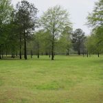 Ranchland property for sale in Union Parish