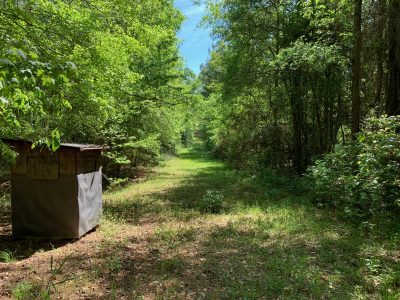 Lincoln Parish Hunting land for sale