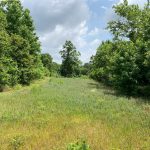 Hunting property for sale in Union Parish