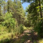 Investment property for sale in Ouachita Parish