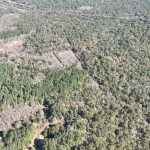 Timberland for sale in Ouachita Parish