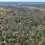 Timberland property for sale in Ouachita Parish