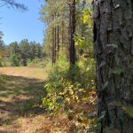 Recreational property for sale in Morehouse Parish