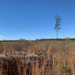 Bossier Parish Recreational land for sale