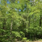 Lincoln Parish Recreational property for sale