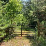 Jackson Parish Timberland property for sale