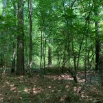 Ranchland for sale in Jackson Parish