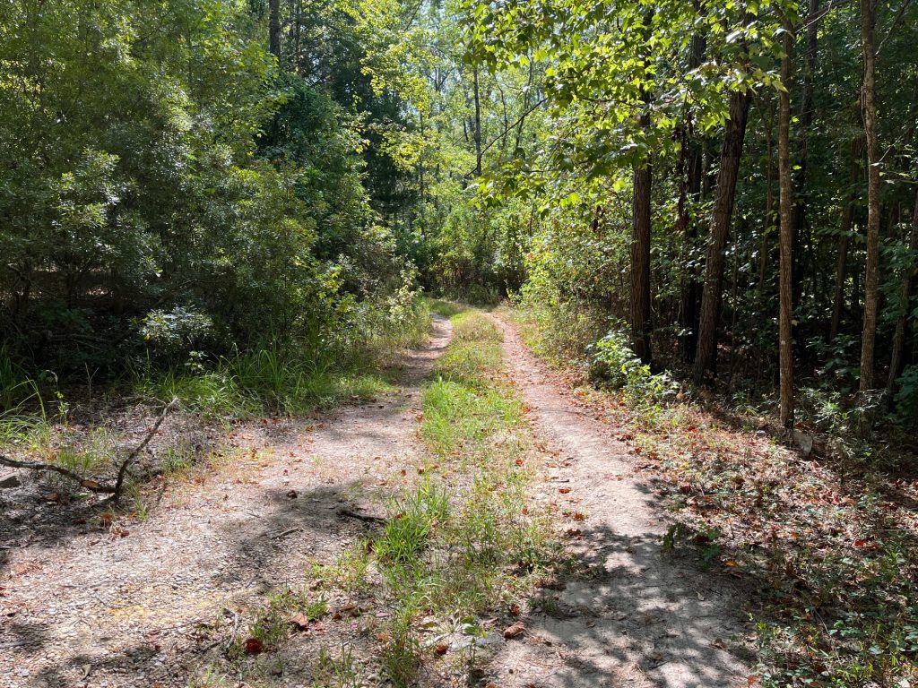 Timberland property for sale in Ouachita Parish