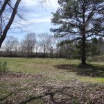 Agricultural land for sale in Webster Parish