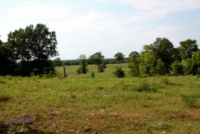 Recreational land for sale in Hempstead County