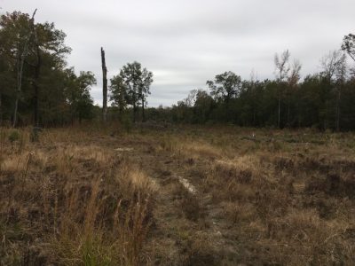Development land for sale in Bradley County