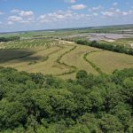 Agricultural land for sale in Jefferson Davis Parish