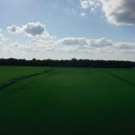 Jefferson Davis Parish Agricultural land for sale