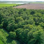 Jefferson Davis Parish Agricultural property for sale