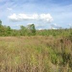 Recreational land for sale in Natchitoches Parish