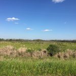 Evangeline Parish Agricultural land for sale