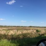 Agricultural land for sale in Evangeline Parish