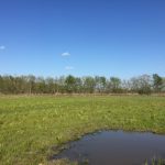 Recreational land for sale in Evangeline Parish