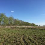 Evangeline Parish Agricultural land for sale