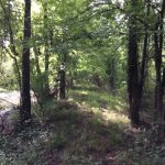 Investment land for sale in Natchitoches Parish