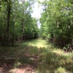 Natchitoches Parish Investment property for sale