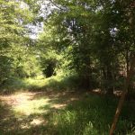 Natchitoches Parish Investment land for sale