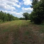 Recreational land for sale in Madison Parish